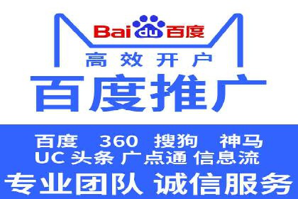 SEM推广实战：成功案例剖析